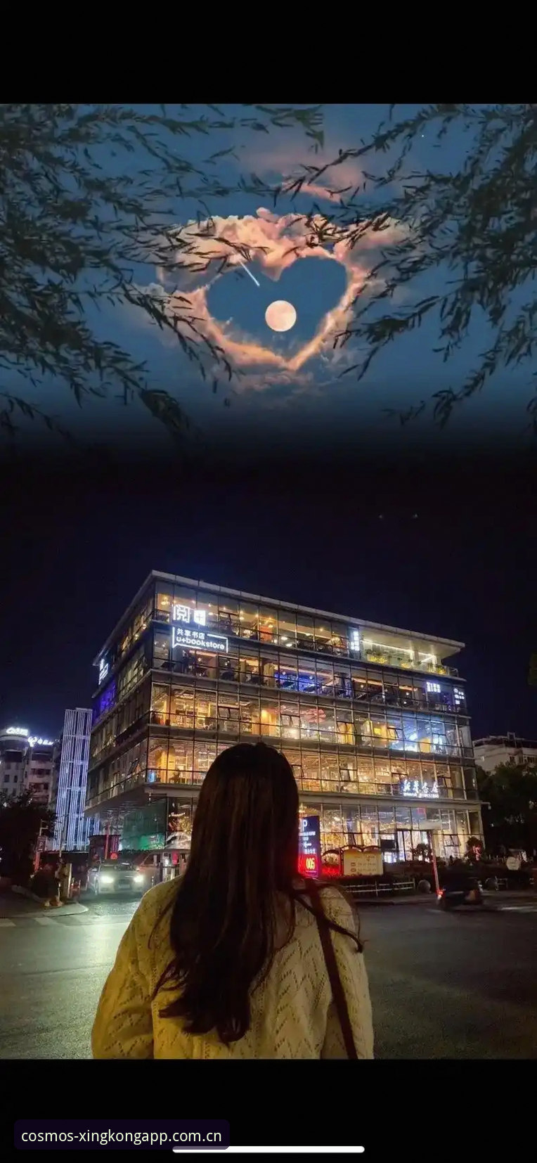 7个你必须关注的星空APP自定义元启版首页CN亮点