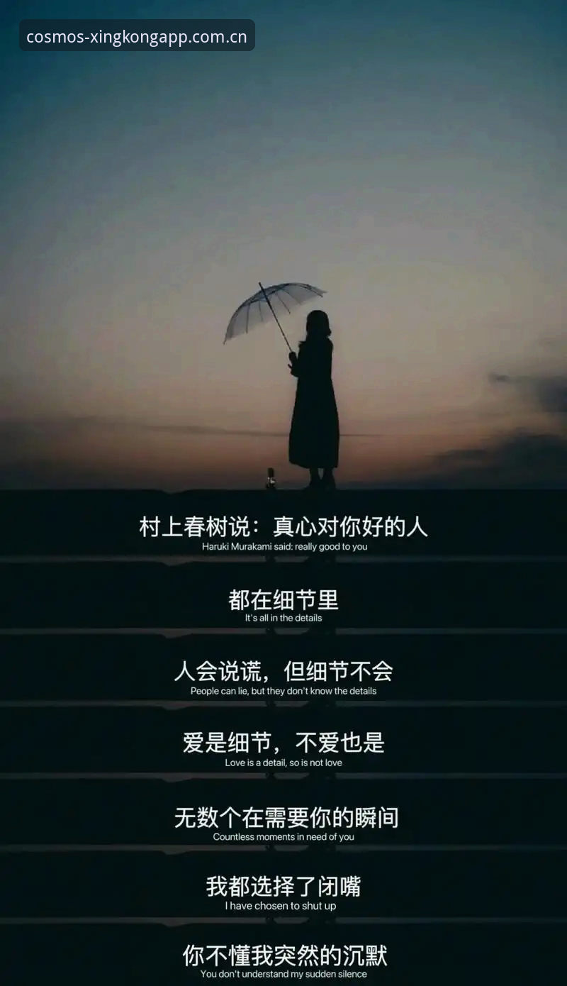 最新自定义元启版登录 揭秘星空自定义元启版登录:你想要的“秒进”其实藏在这些细节里